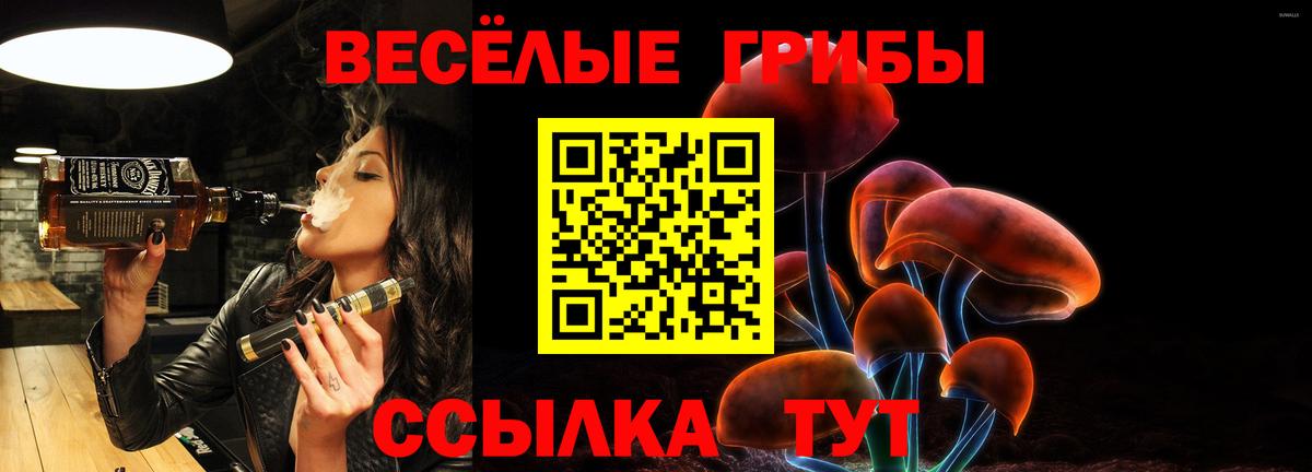 Псилоцибиновые грибы ЛСД Владикавказ